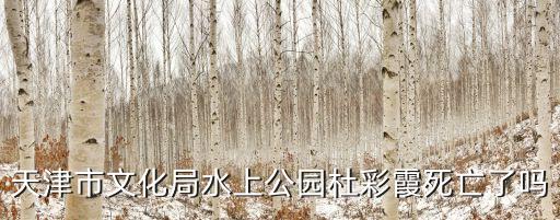 天津市文化局水上公園杜彩霞死亡了嗎