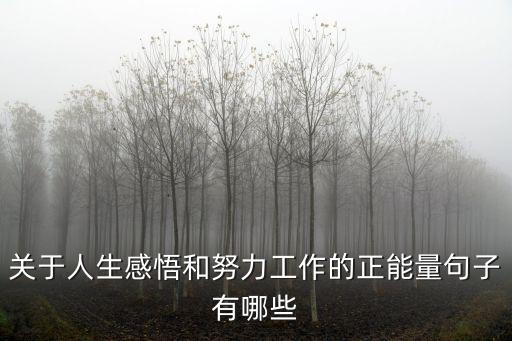 關于人生感悟和努力工作的正能量句子有哪些