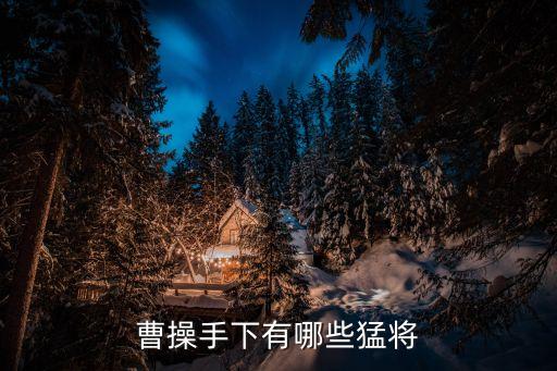 曹操的武將，曹操有幾個主要的武將