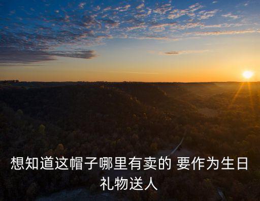 想知道這帽子哪里有賣的 要作為生日禮物送人