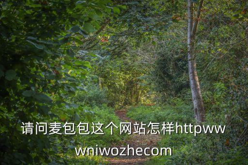 請問麥包包這個網站怎樣httpwwwniwozhecom