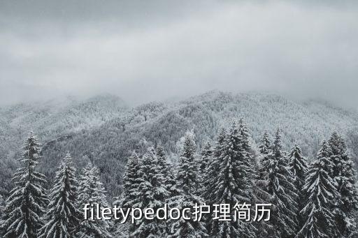 filetypedoc護理簡歷