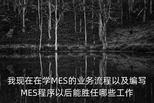 我現(xiàn)在在學MES的業(yè)務流程以及編寫MES程序以后能勝任哪些工作