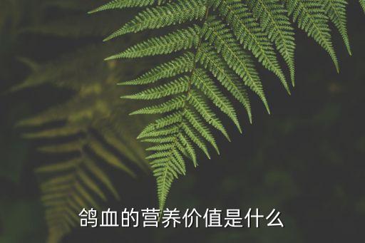 鴿子血的功效與作用，鴿血的營養價值是什么