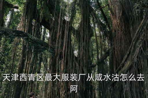 天津西青區(qū)最大服裝廠從咸水沽怎么去阿