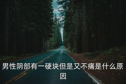 男性陰部有一硬塊但是又不痛是什么原因