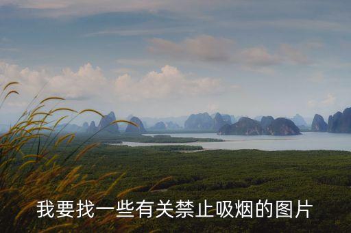 禁止吸煙的圖片，求禁止吸煙的大圖