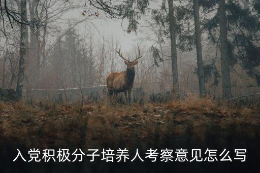 入黨積極分子培養(yǎng)人考察意見怎么寫