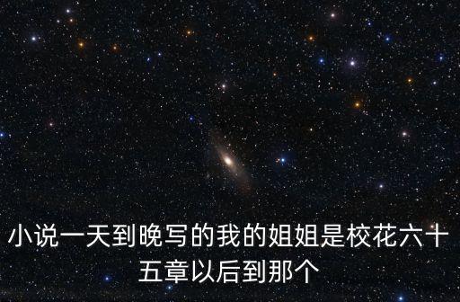 我的姐姐是校花，我的姐姐是校花屬于神馬類型的小說