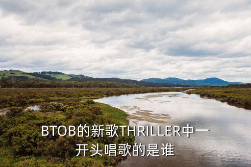 BTOB的新歌THRILLER中一開頭唱歌的是誰