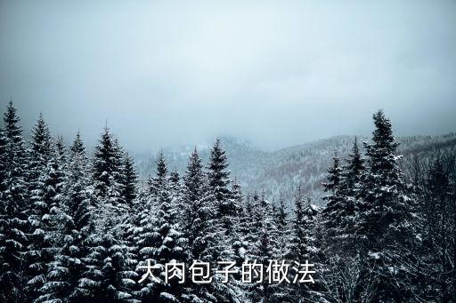 大肉包，大肉包怎么做