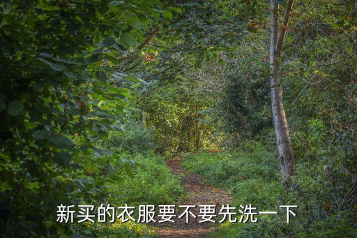 新買的衣服要不要先洗一下