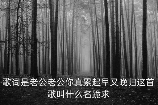 老公你很累，歌詞是老公老公你真累起早又晚歸這首歌叫什么名跪求