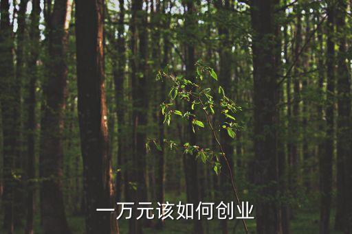 一萬(wàn)元該如何創(chuàng)業(yè)