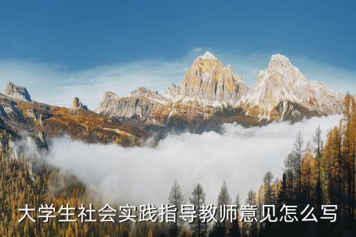 大學生社會實踐指導教師意見怎么寫
