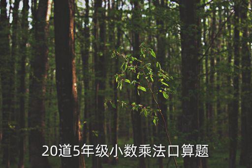 20道5年級小數乘法口算題