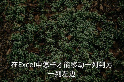 在Excel中怎樣才能移動一列到另一列左邊