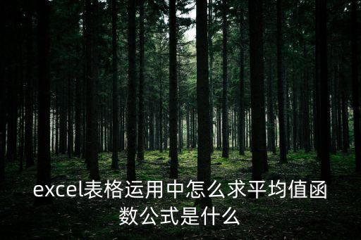 excel表格運(yùn)用中怎么求平均值函數(shù)公式是什么