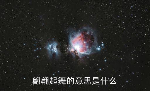 翩翩起舞的意思是什么