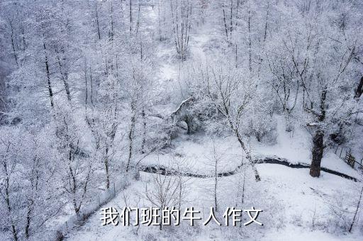 我們班的牛人作文