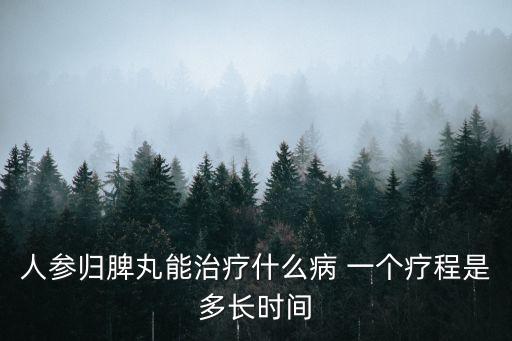 人參歸脾丸能治療什么病 一個(gè)療程是多長時(shí)間