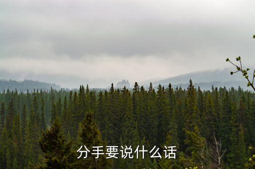 分手說的話，分手要說什么話