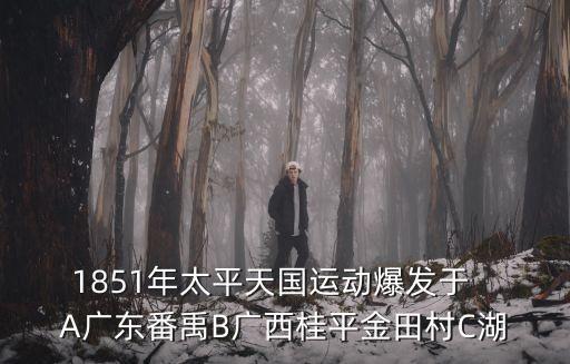 太平天國運動，1851年太平天國運動爆發于   A廣東番禹B廣西桂平金田村C湖