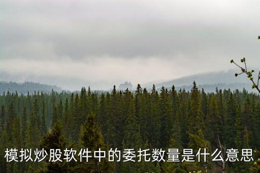 模擬炒股軟件中的委托數量是什么意思