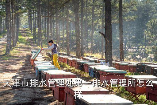 天津市排水管理處第一排水管理所怎么樣