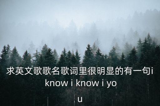 求英文歌歌名歌詞里很明顯的有一句i know i know i you