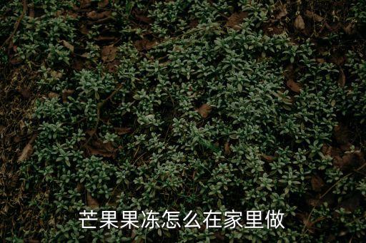 芒果果凍怎么在家里做