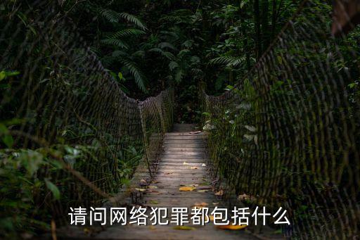 請問網絡犯罪都包括什么
