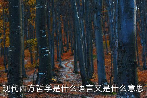 現(xiàn)代西方哲學(xué)是什么語(yǔ)言又是什么意思