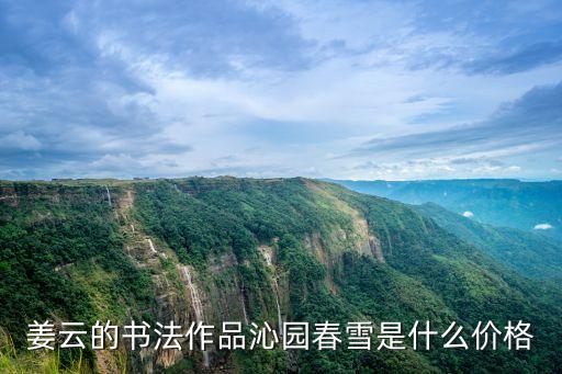 姜云的書法作品沁園春雪是什么價格