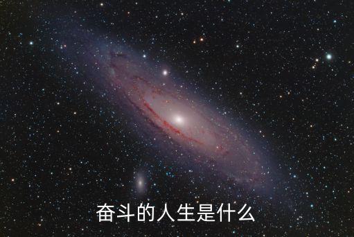 奮斗的人生是什么
