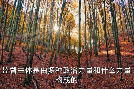 監督主體是由多種政治力量和什么力量構成的