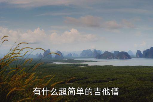 有什么超簡單的吉他譜