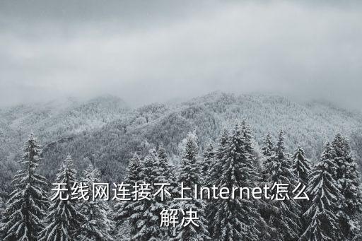無線網連接不上Internet怎么解決