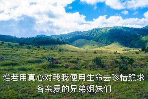 親愛的兄弟姐妹們，誰若用真心對我我便用生命去珍惜跪求各親愛的兄弟姐妹們