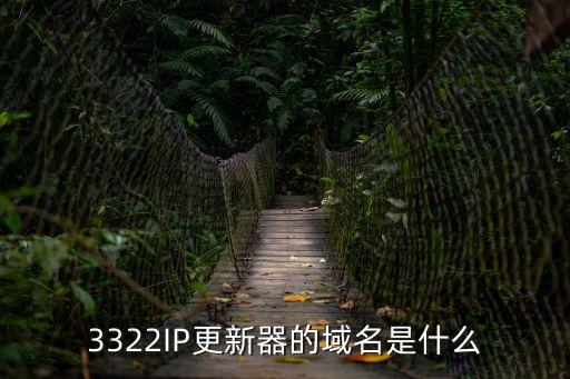 3322IP更新器的域名是什么