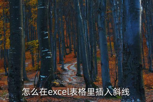 怎么在excel表格里插入斜線