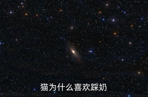 貓為什么喜歡踩奶