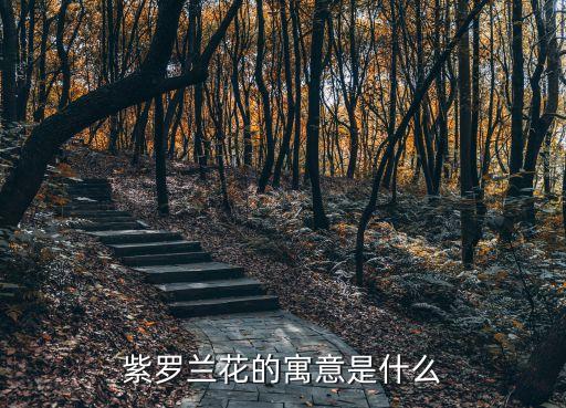紫羅蘭花的寓意是什么