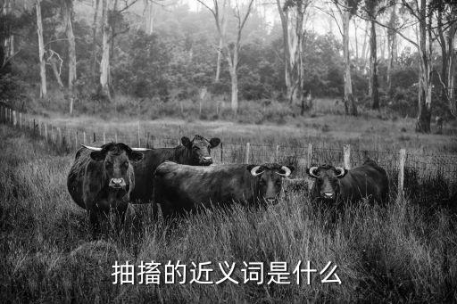 抽搐的近義詞，抽動的近義詞是什么