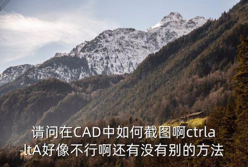 請問在CAD中如何截圖啊ctrlaltA好像不行啊還有沒有別的方法