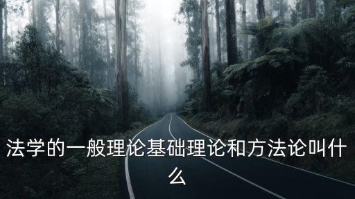 法學(xué)的一般理論基礎(chǔ)理論和方法論叫什么