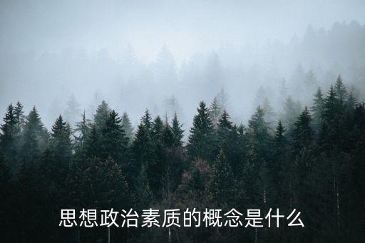 思想政治素質的概念是什么