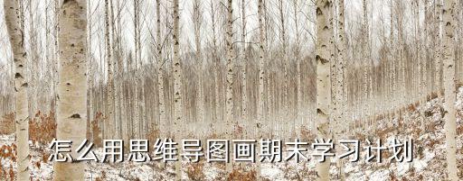 怎么用思維導圖畫期末學習計劃