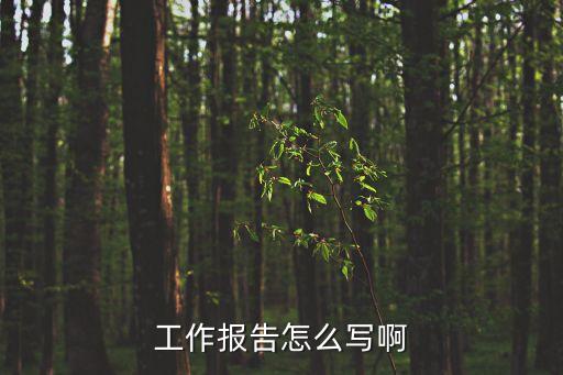 工作報(bào)告怎么寫啊