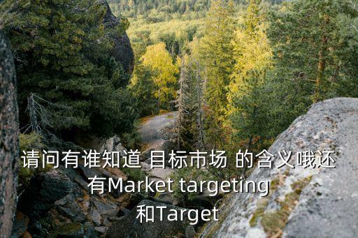 目標(biāo)市場(chǎng)，什么是目標(biāo)市場(chǎng)定位